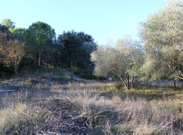 Uchaud, Gard 30620