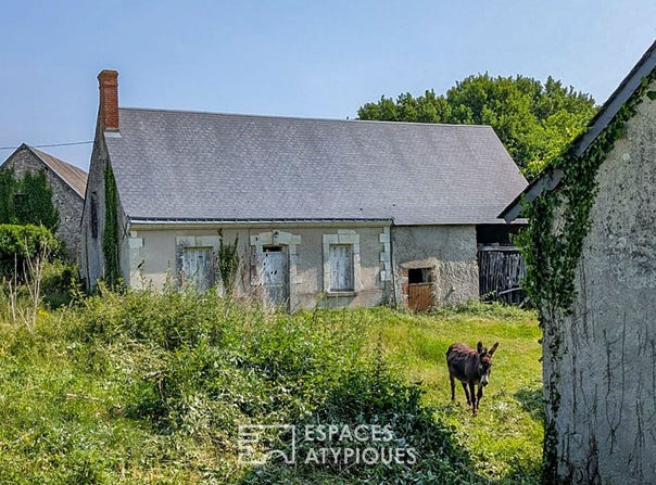 Saint branchs, Centre-Val de Loire 37320