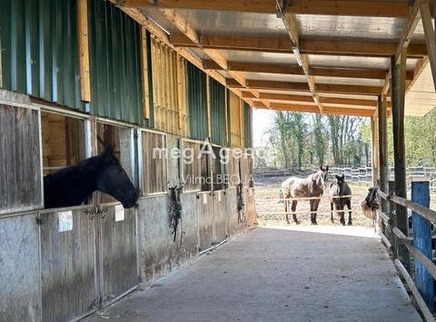 Thorigny-Sur-Oreuse, Bourgogne 89260