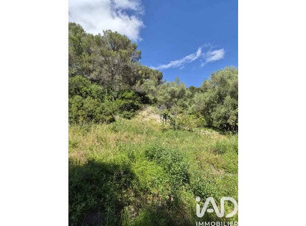 Gorbio, Provence-Alpes-Côte d'Azur 06500