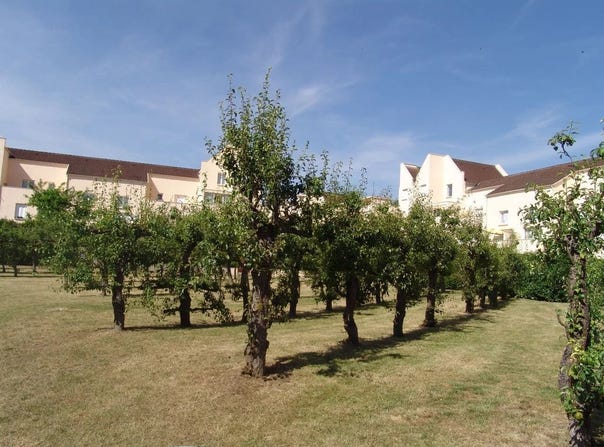 Cergy, Val-d'Oise 95000