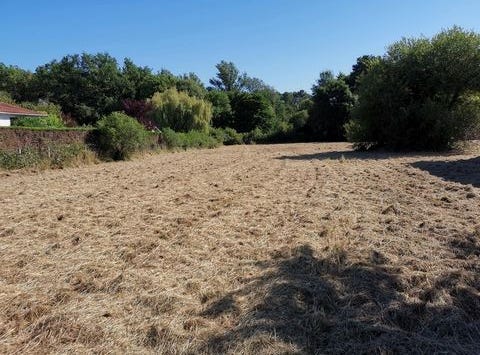 Pugnac, Aquitaine 33710