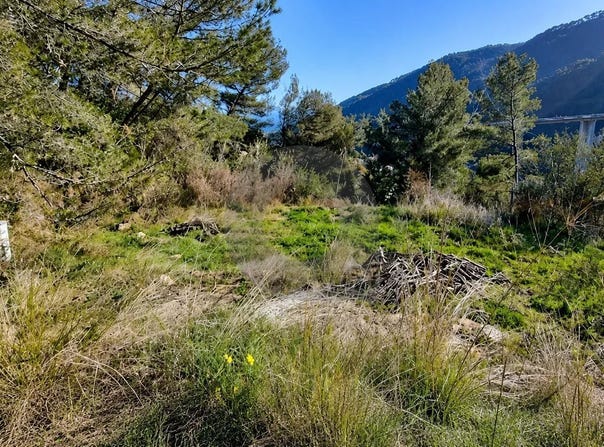 Gorbio, Provence-Alpes-Côte-d'Azur 06500