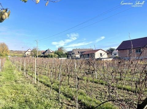 OBERMORSCHWIHR, Alsace 68420