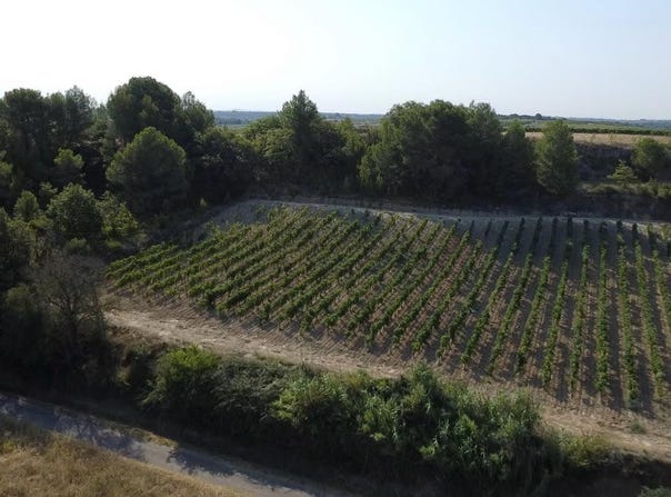 PAILHES, Occitanie 34490