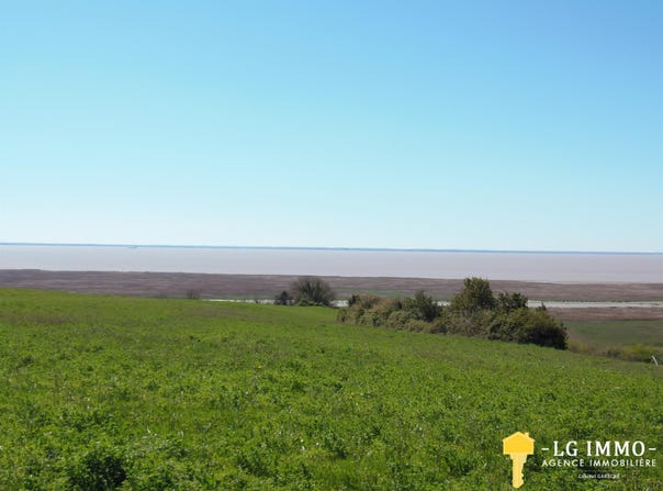 Chenac-Saint-Seurin-d'Uzet, Poitou-Charentes 17120