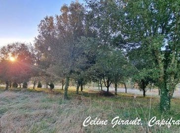 CAUBEYRES, Aquitaine 47160