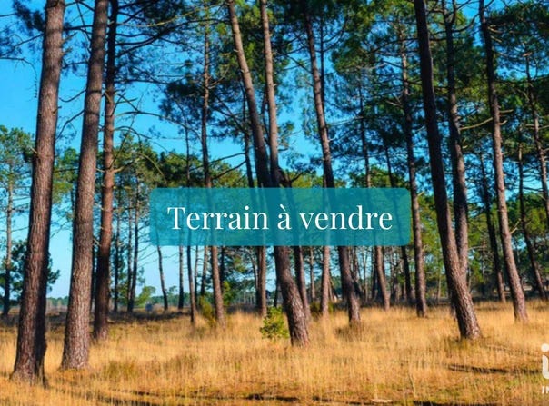 TOSSE, Nouvelle-Aquitaine 40230