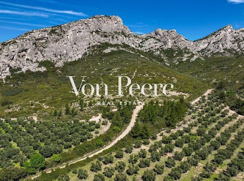Saint-Rémy-de-Provence, Provence-Alpes-Côte d'Azur 13210