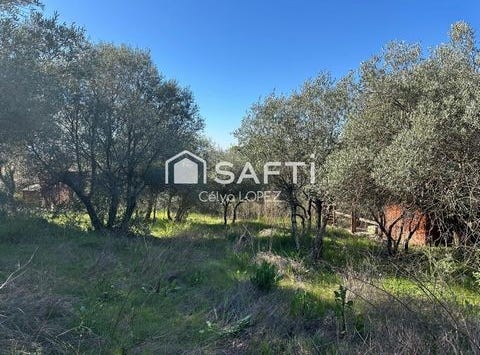 Pignan, Languedoc-Roussillon 34570