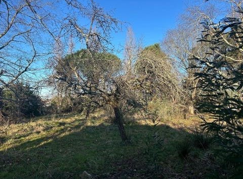 Loupes, Aquitaine 33370