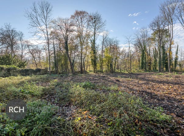 Montfort-l'Amaury, Yvelines 78490