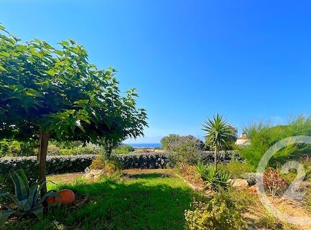 MONTICELLO, Corsica 20220