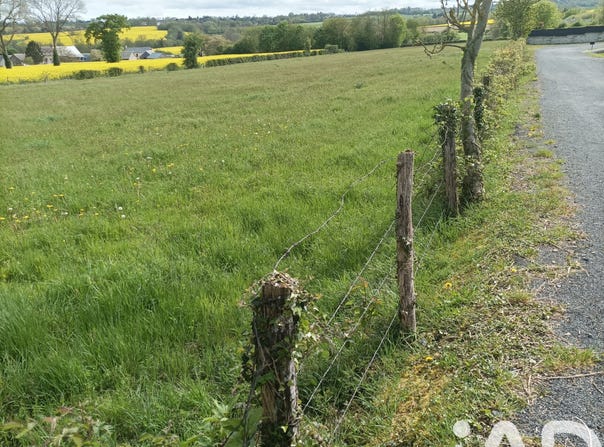 Combray, Normandy 14220