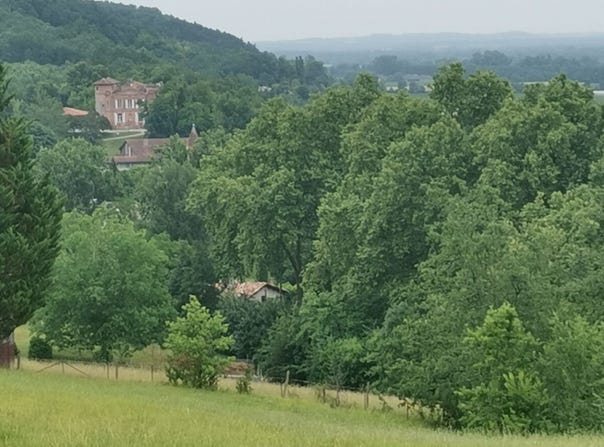 Piquecos, Midi-Pyrénées 82130