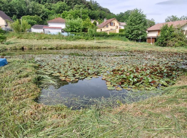 Épinal, Grand Est 88000