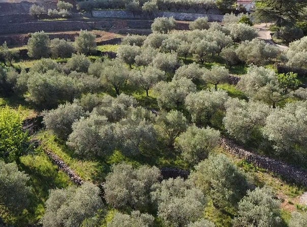 Alès, Occitanie 30100