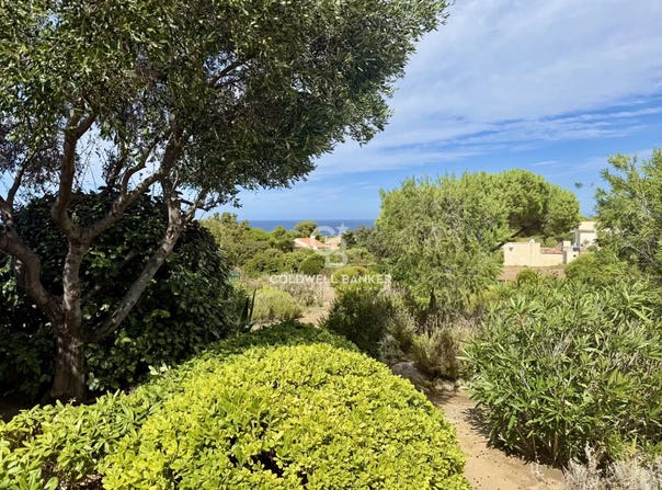 Lumio, Corsica 20260