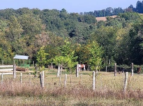 SAINT MAIME DE PEREYROL, Aquitaine 24380
