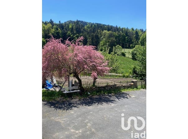 Yssingeaux, Auvergne-Rhône-Alpes 43200