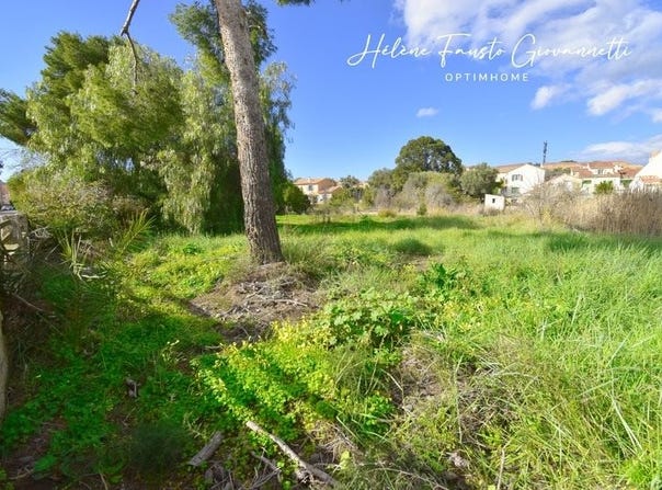 Saint-Florent, Corsica 20217