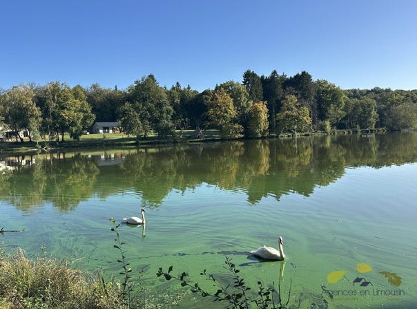 La Geneytouse, Limousin 87400