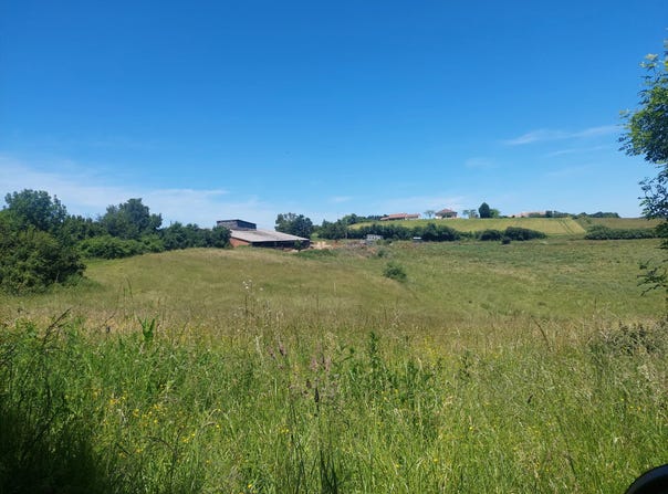 Saint-Christaud, Haute-Garonne 31310