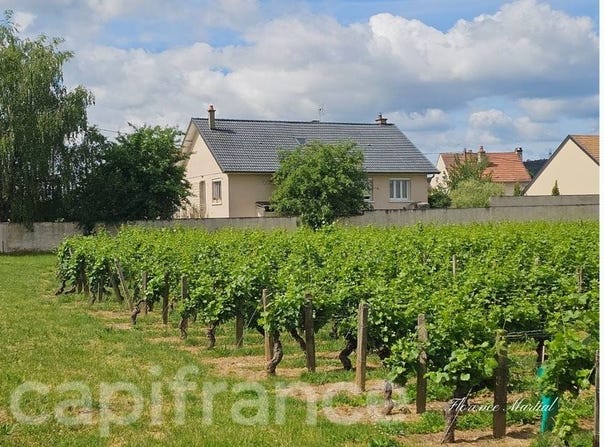 Nuits-Saint-Georges, Burgundy 21700