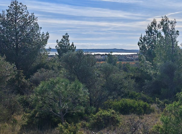 la palme, Occitanie 11480