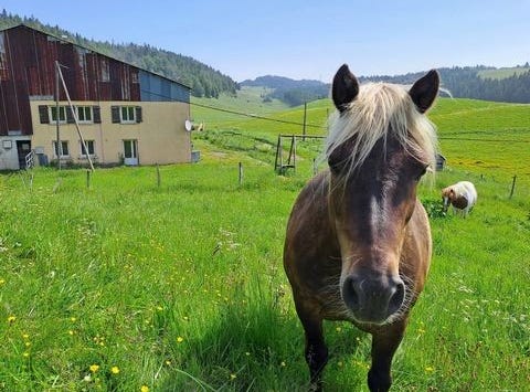 La Pesse, Jura 39370