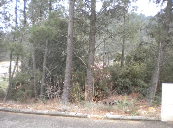 Mondragon, Vaucluse 84430