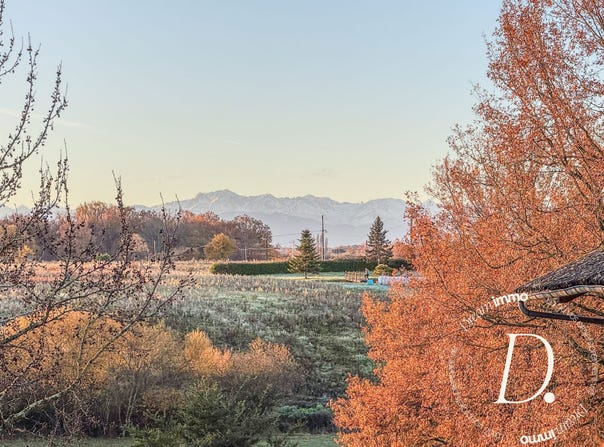 Marciac, Midi-Pyrénées 32230