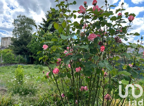 Beaugency, Centre-Val de Loire 45190