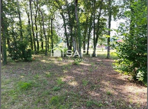 Le Teich, Aquitaine 33470
