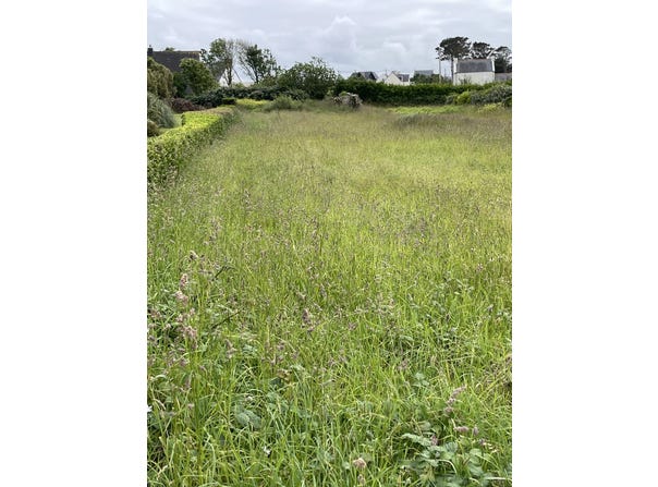 Plouguerneau, Finistère 29880