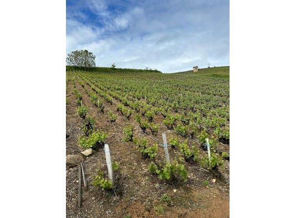 JULIENAS, Rhône-Alpes 69840