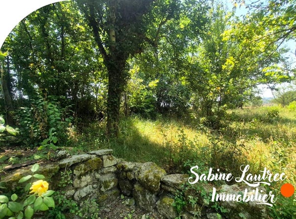 Lautrec, Midi-Pyrénées 81440