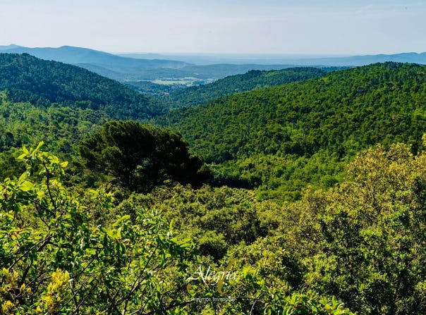 Draguignan, Provence-Alpes-Côte-d'Azur 83300