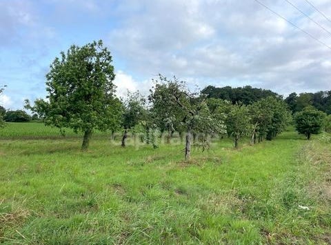 NIVILLAC, Bretagne 56130