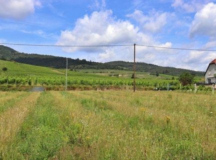 Dambach La Ville, Alsace 67650