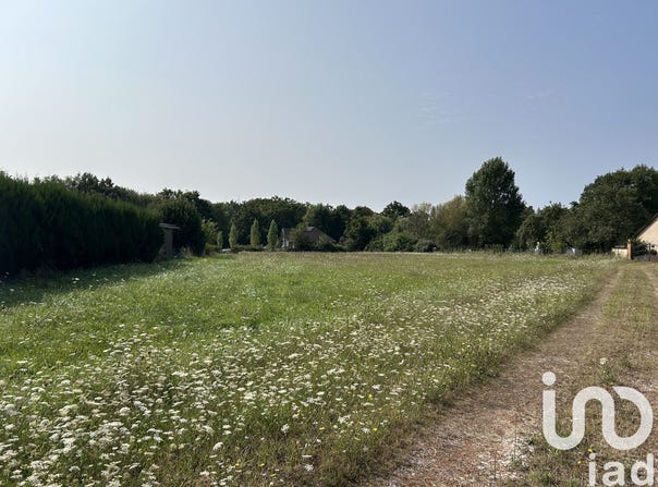 La Marolle En Sologne, Centre-Val de Loire 41210