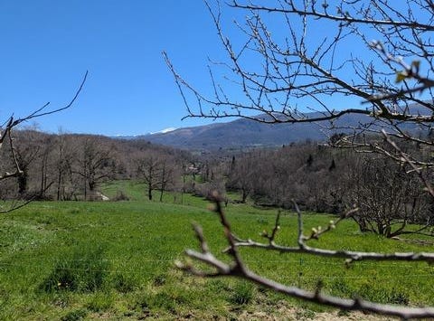 SERRES SUR ARGET, Midi-Pyrénées 09000