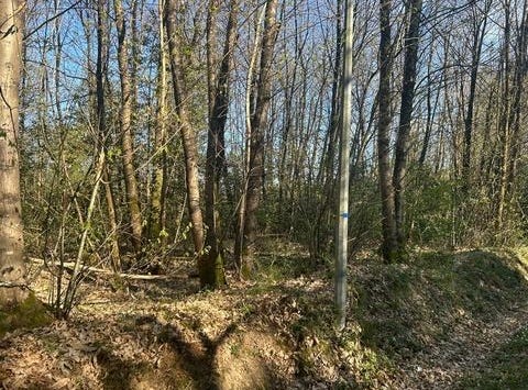 LE VIEIL BAUGE, Pays de la Loire 49150