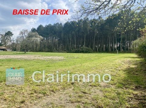 Uzeste, Aquitaine 33730