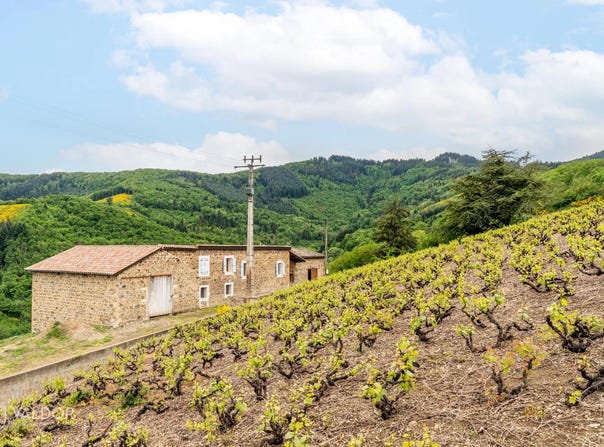 Vaux-en-Beaujolais, Rhône 69460