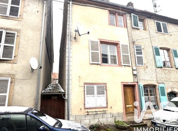 Fénétrange, Grand Est 57930