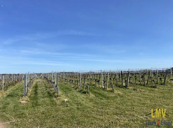 Lussac, Gironde 33570
