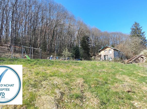 Luzy, Bourgogne-Franche-Comté 58170