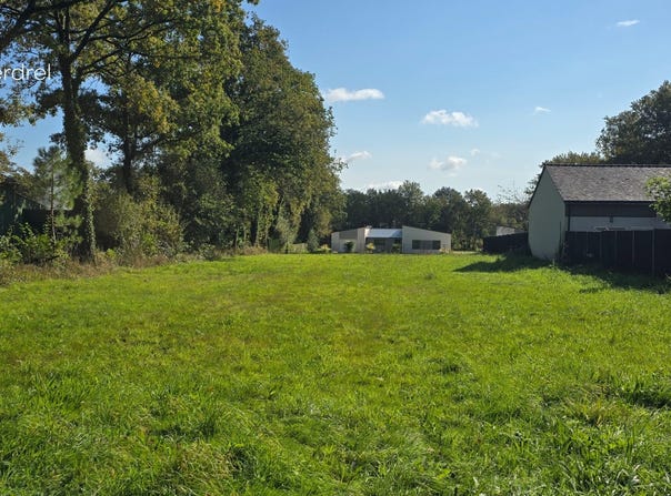 Allaire, Brittany 56350