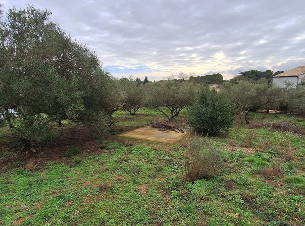 Aubais, Occitanie 30250